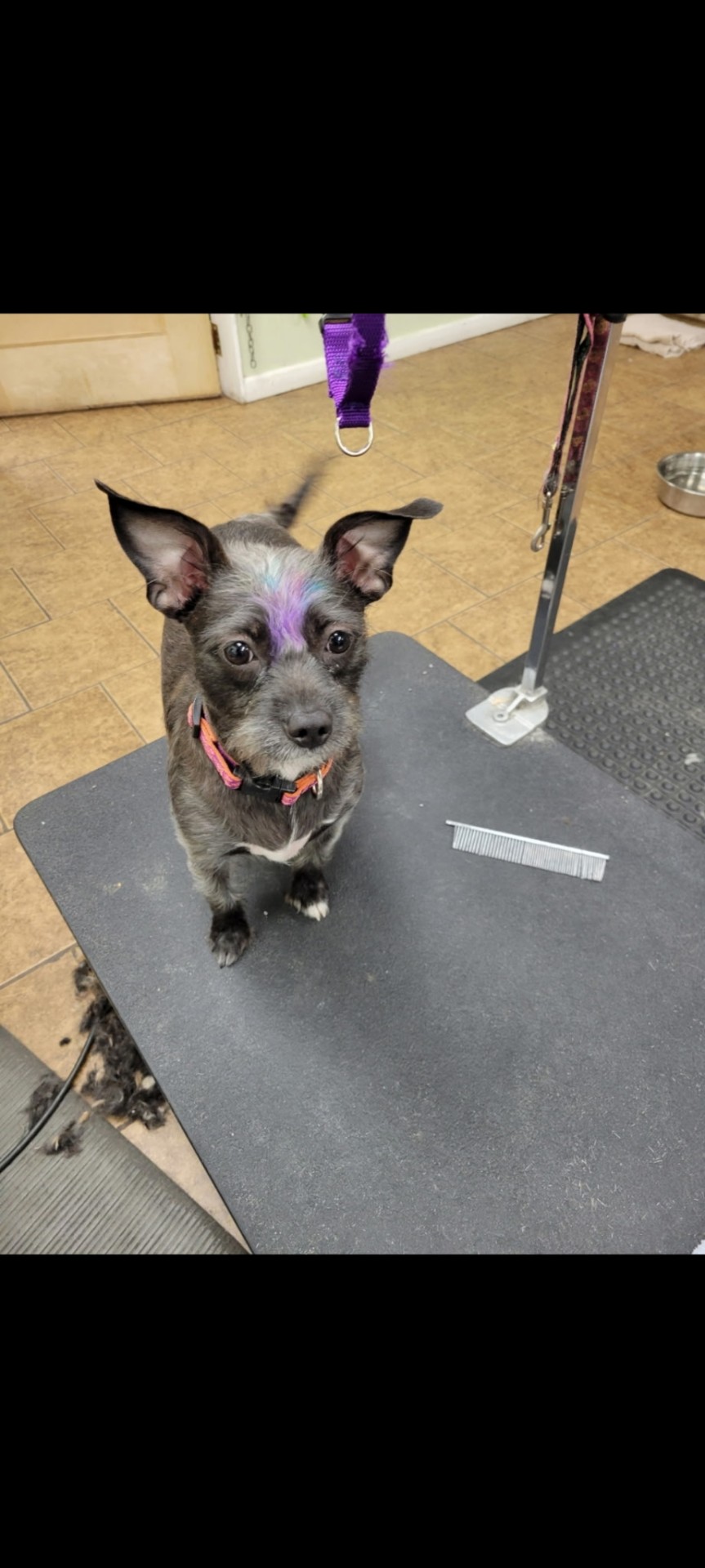 A little color, a lot of personality