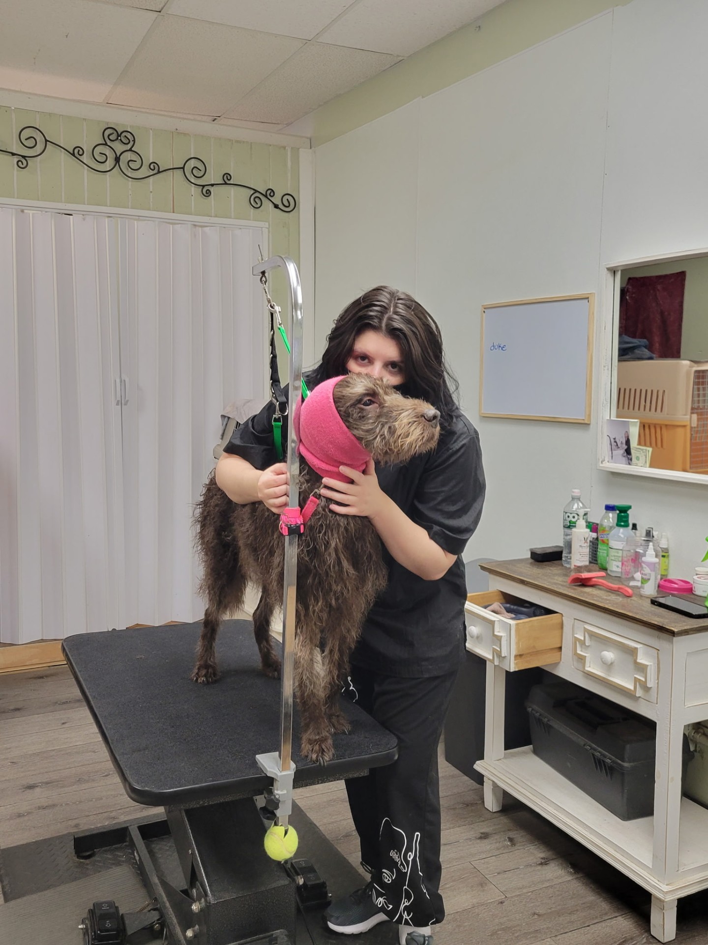 Gentle care for every dog