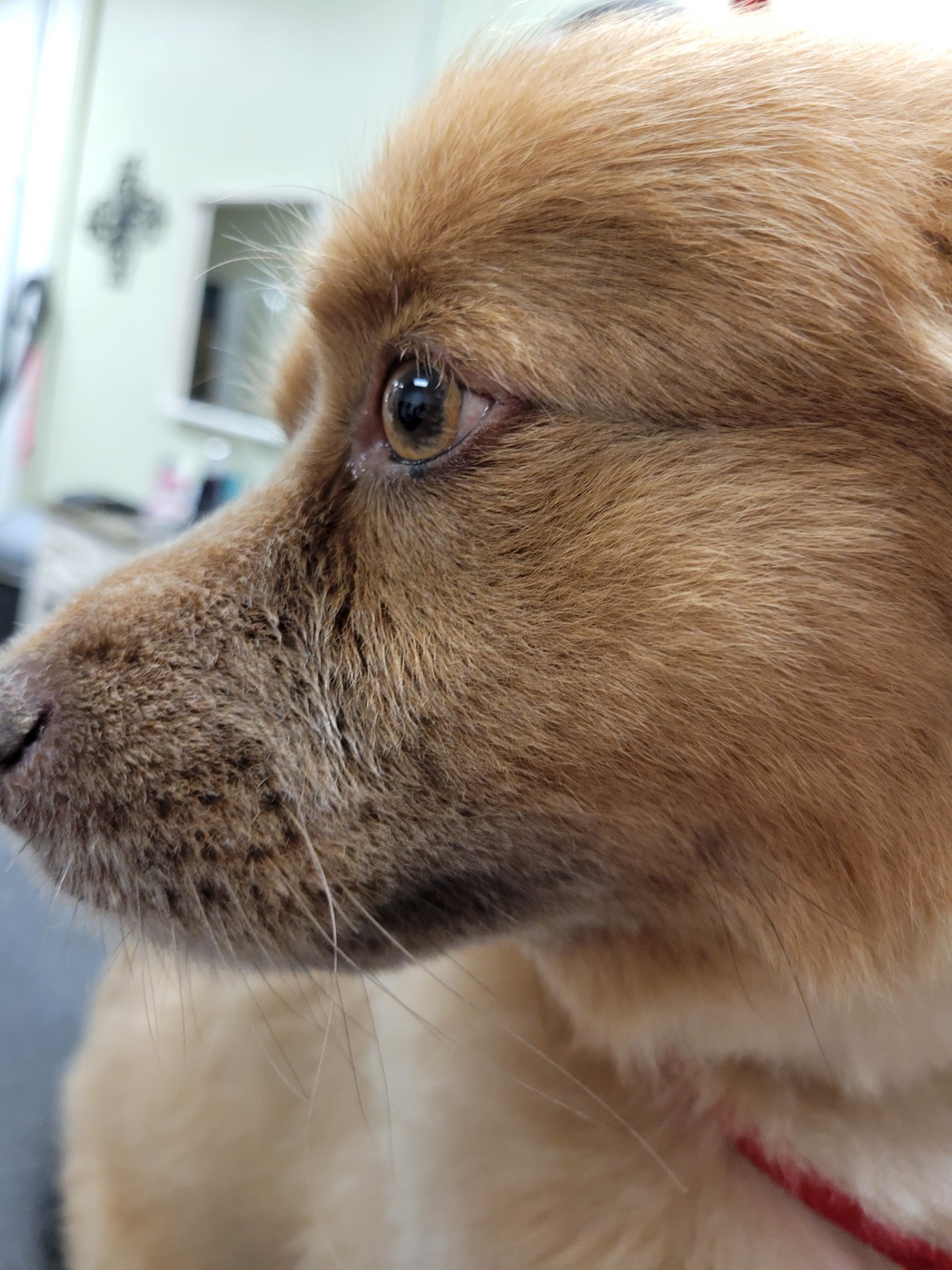 Up close and adorable