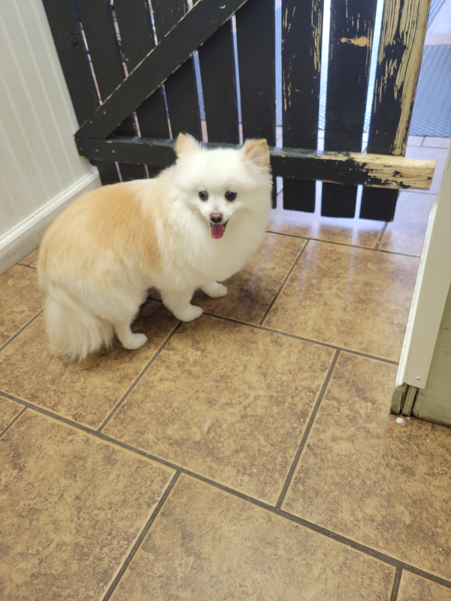 Fluff at its finest